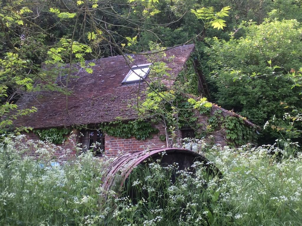 La Boursaie Bed & Breakfast Livarot-Pays-d'Auge Exterior photo